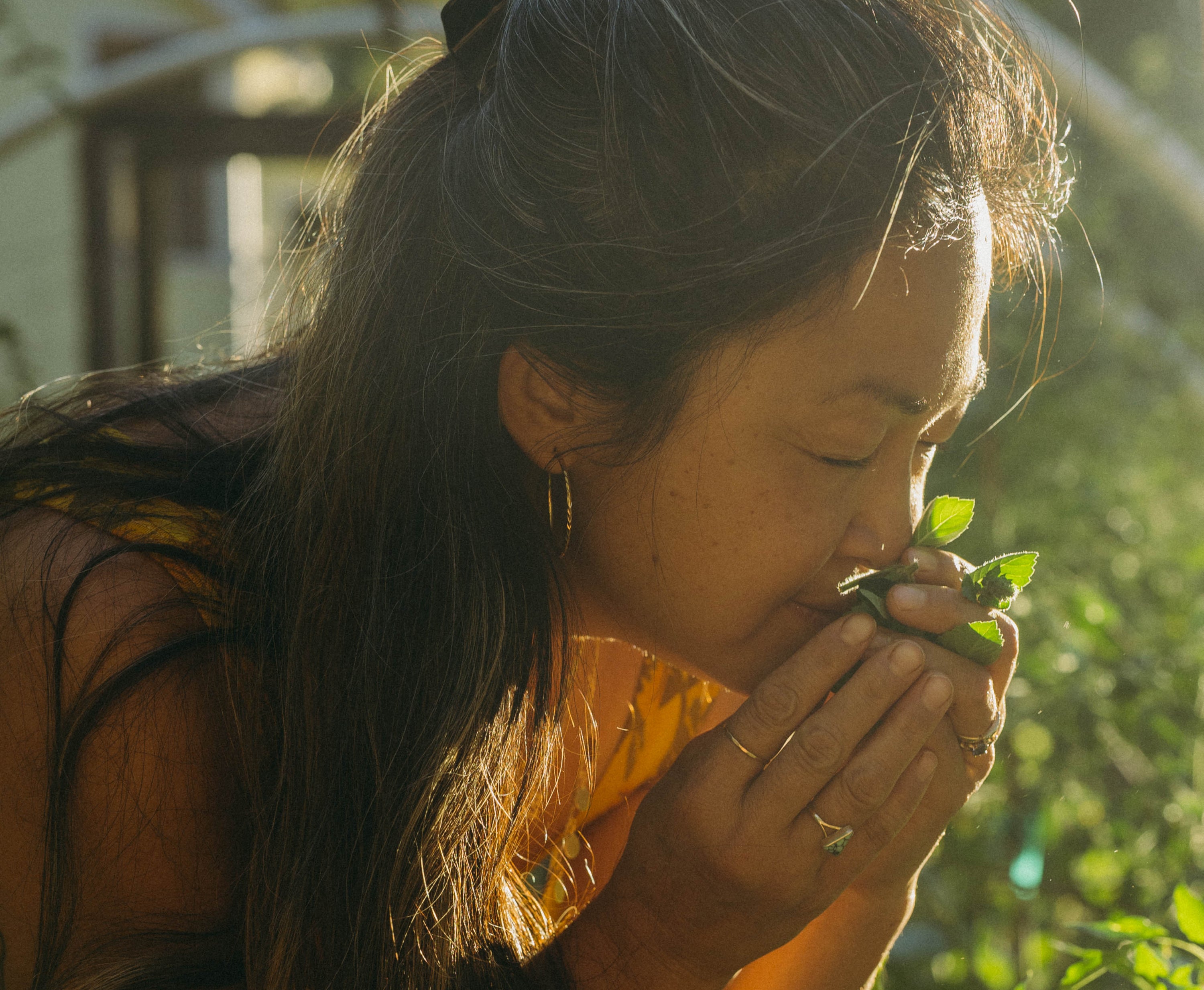 How to Build Immunity the Ayurvedic Way